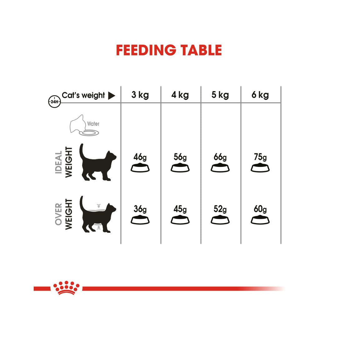 ROYAL CANIN® Dental Care Cat Dry Food - 1.5kg pack Feeding guide 