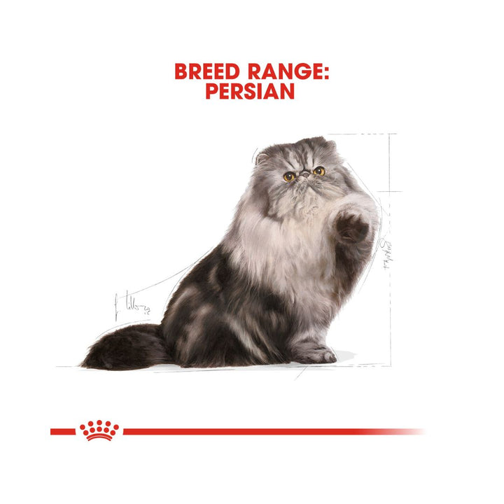 Royal Canin Persian Adult Dry Cat Food Balanced and complete feed for adult Persian cats over 12 months old 3.