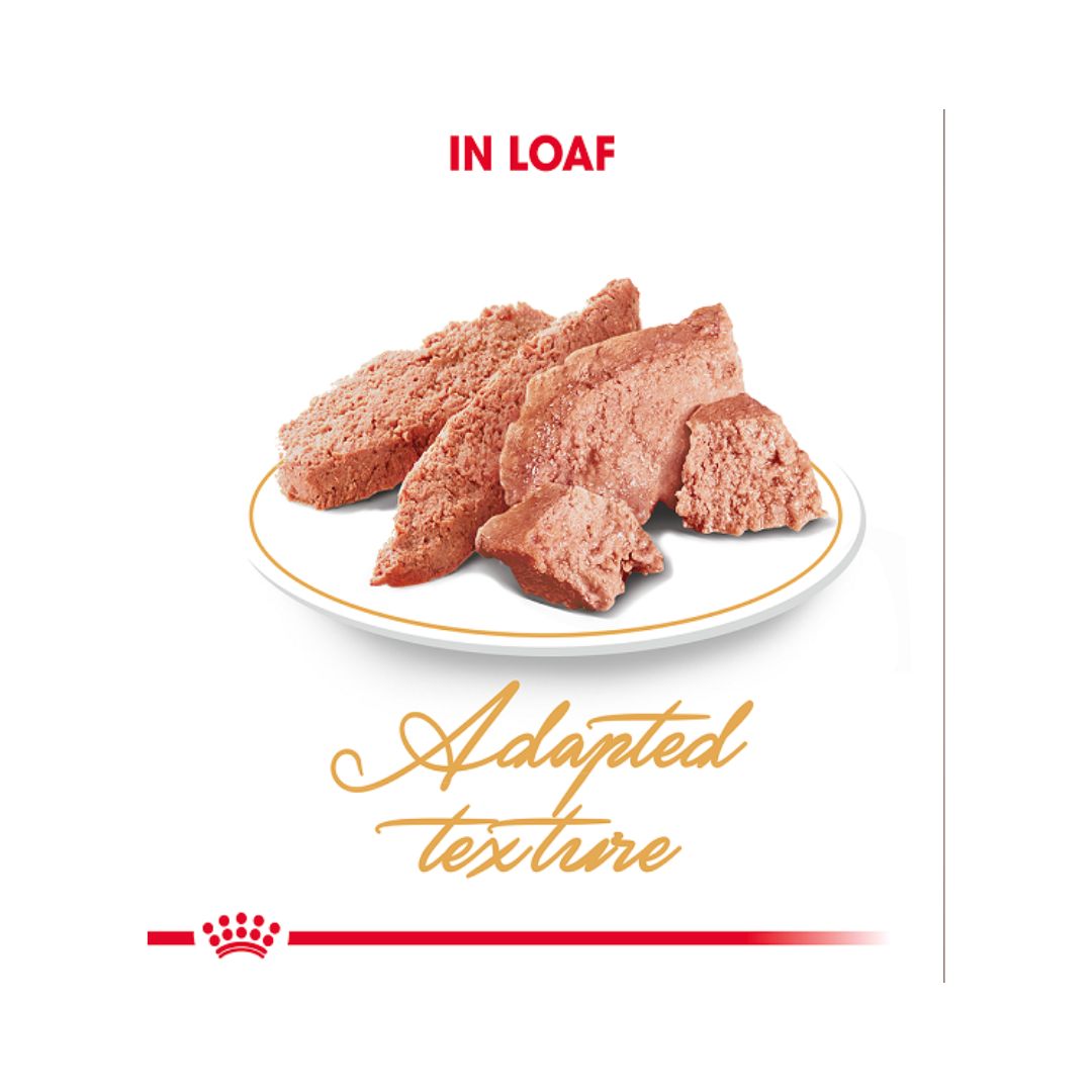 Royal Canin Persian Cat Wet Food -Kibble Size