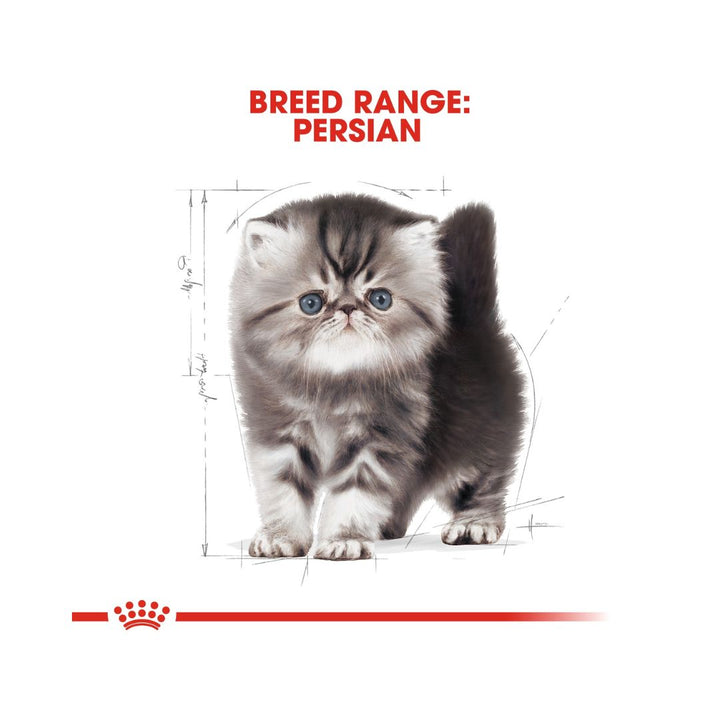 Royal Canin Persian Kitten Dry Food - AD