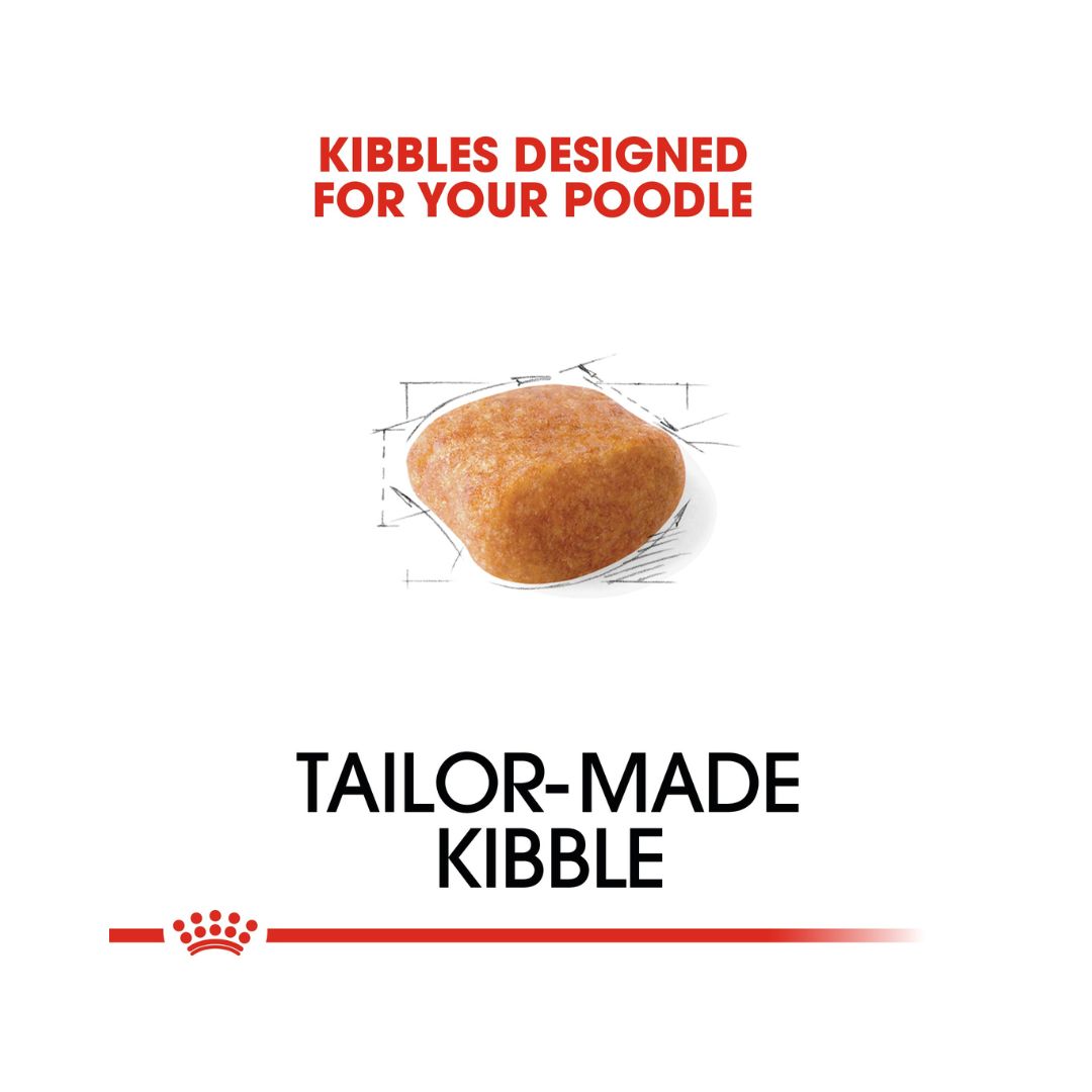 Royal Canin Poodle Adult Dog Dry Food - kibble Size 