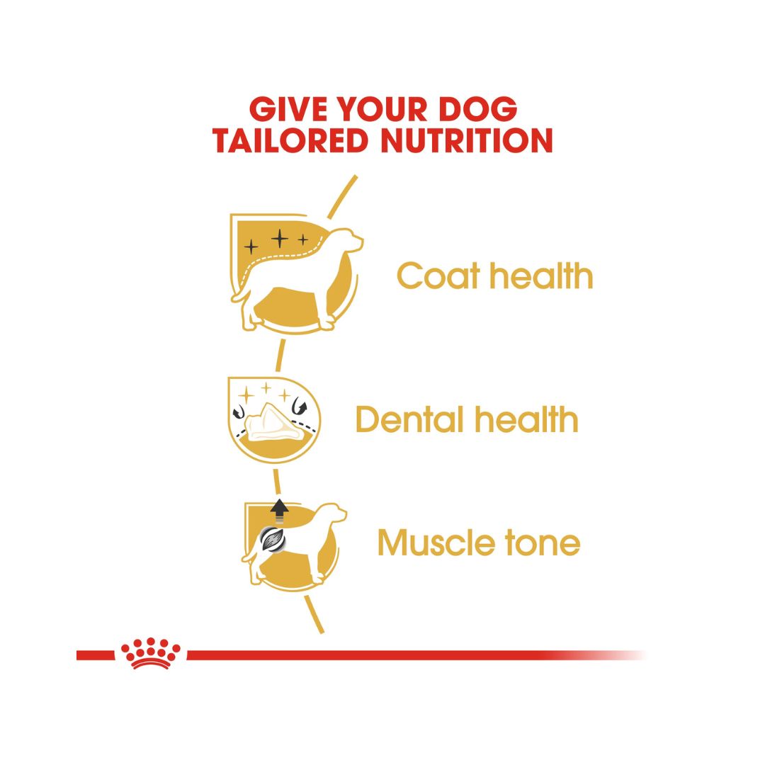 Royal Canin Poodle Adult Dog Dry Food - Food benefits 