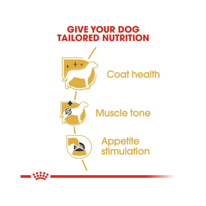 Royal Canin Poodle Adult Dog Wet Food - Food benefits 