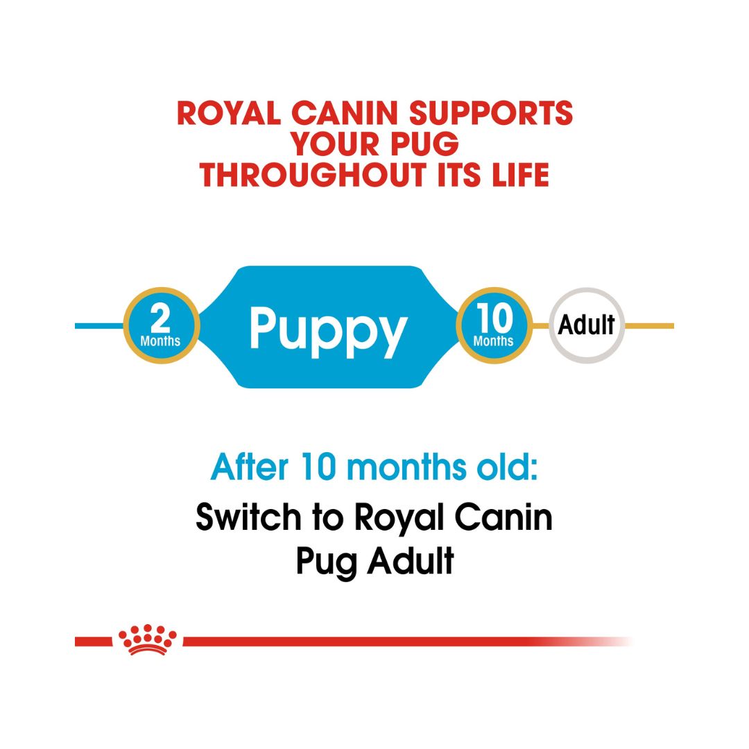Royal Canin Pug Puppy Dry Food - Age and Size 