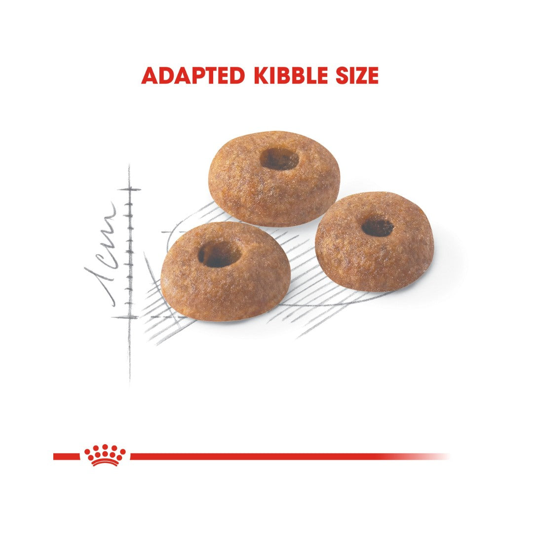 Royal Canin Regular Fit 32 Dry Cat Food - Food Kibble 