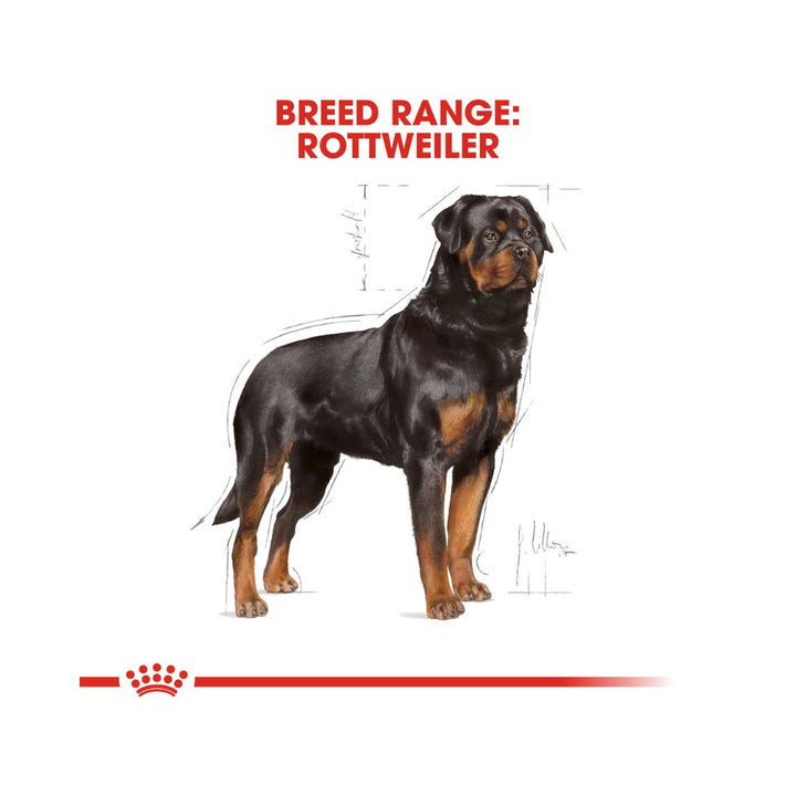 Royal Canin Rottweiler Adult Dog Dry Food