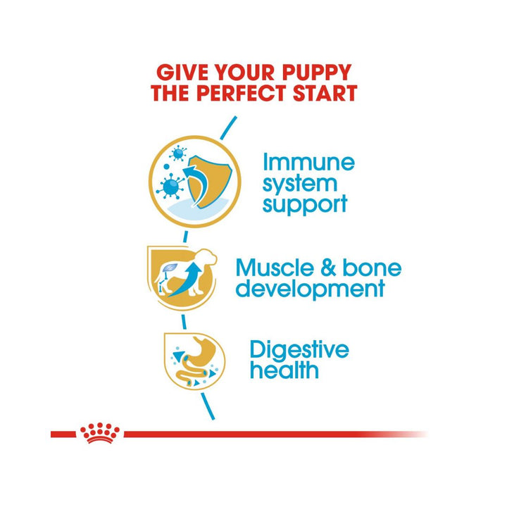 Royal Canin Rottweiler Puppy Dry Food is specially formulated with all the nutritional needs of your young Rottweiler in mind. Suitable for puppies up to 18 months old 3.