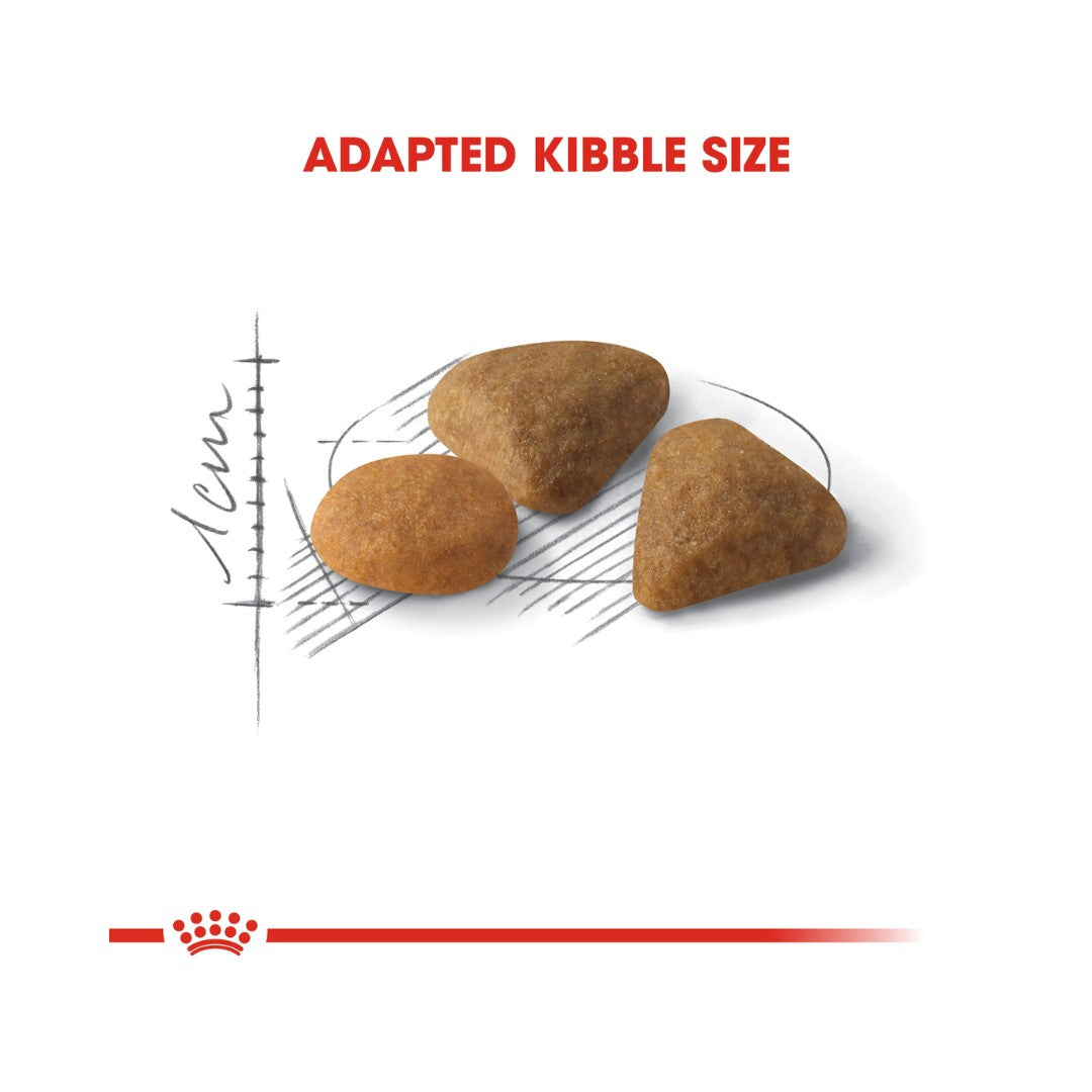 Buy Royal Canin Savour Exigent Cat Dry Food - kibble Size 