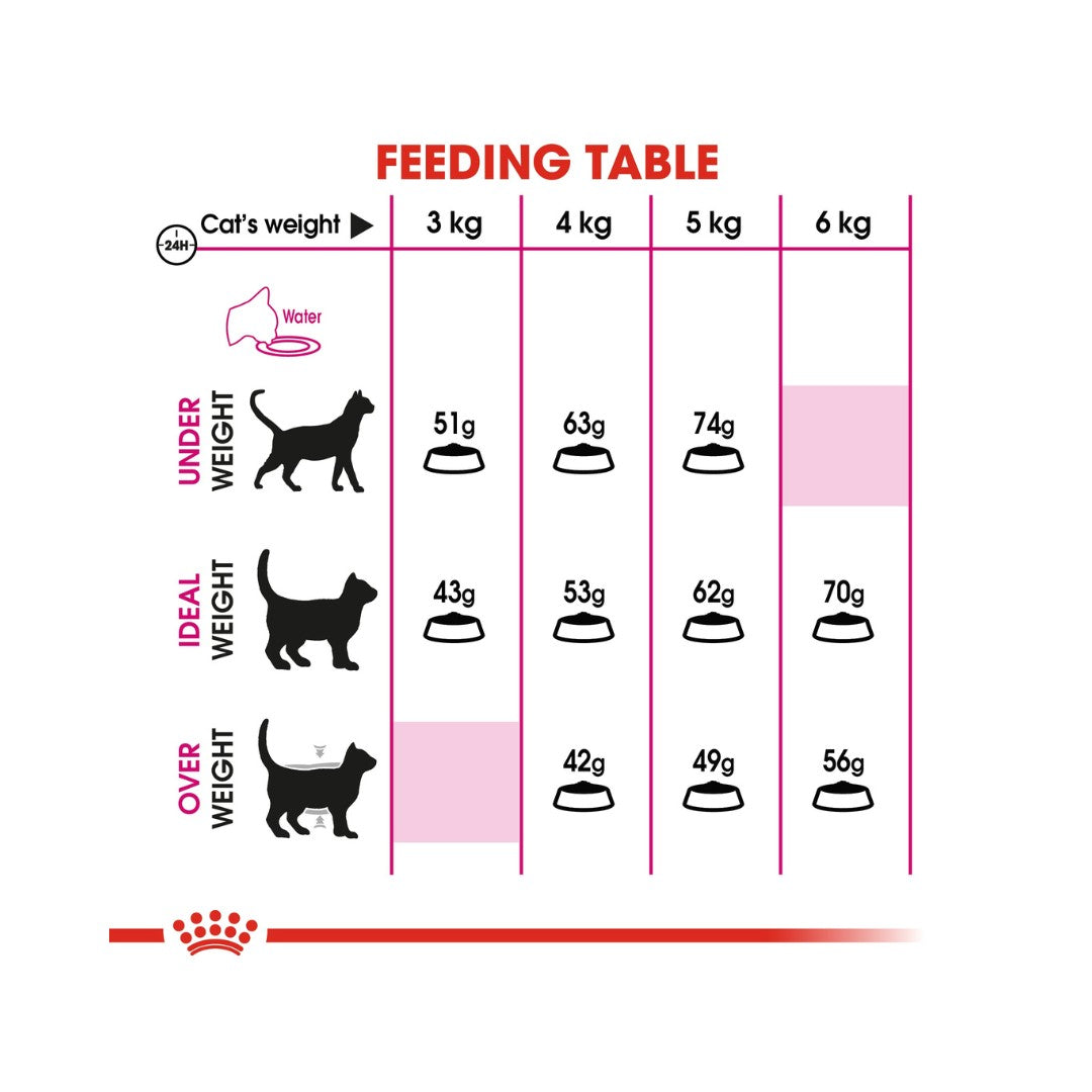 Buy Royal Canin Savour Exigent Cat Dry Food - Feeding Guide 