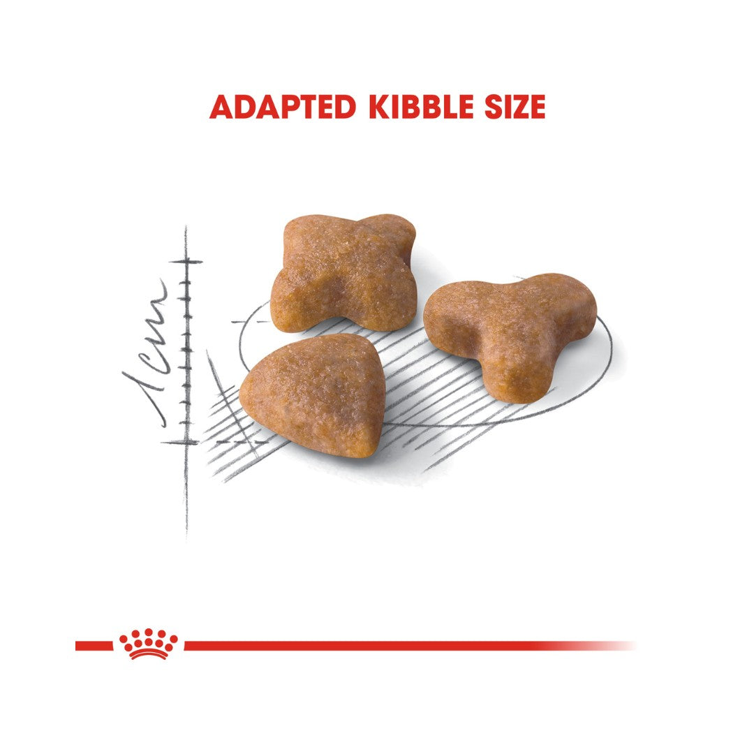 Royal Canin Sensible 33 Dry Cat Food Balanced and complete feed for cats - Especially for adults over 1 year old 2.