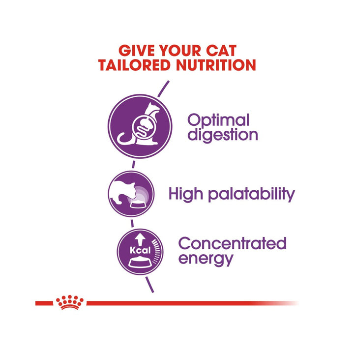 Royal Canin Sensible 33 Dry Cat Food Balanced and complete feed for cats - Especially for adults over 1 year old 3.