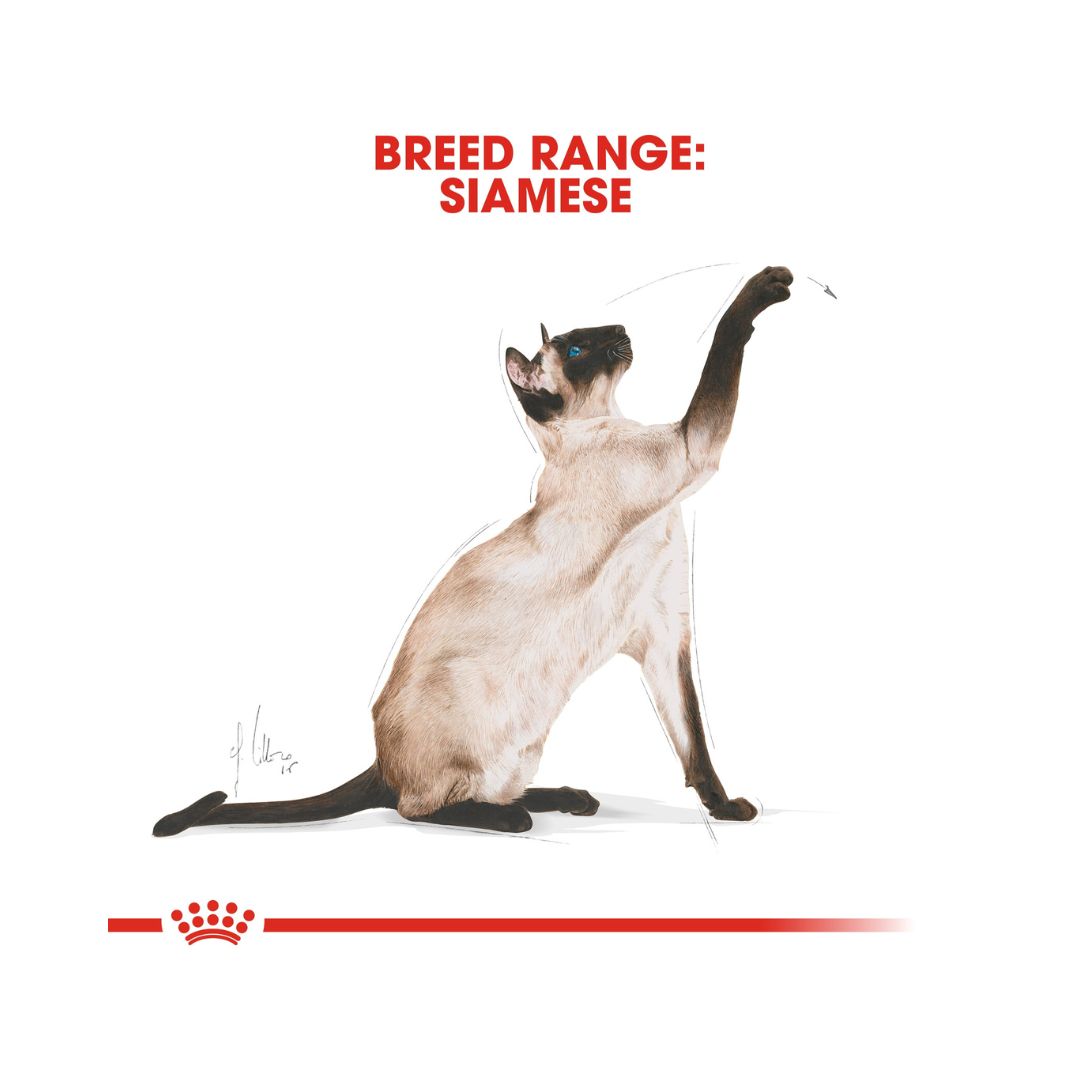 Royal Canin Siamese Adult Cat Dry Food - AD
