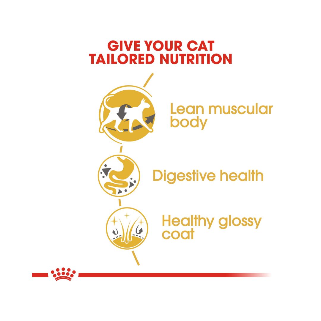Royal Canin Siamese Adult Cat Dry Food - Food Nutritions 