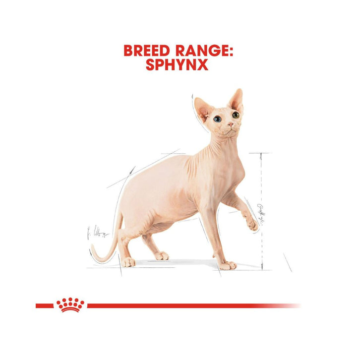 Royal Canin Sphynx Adult Cat Dry Food Balanced and complete feed Sphynx cats over 12 months old 3.