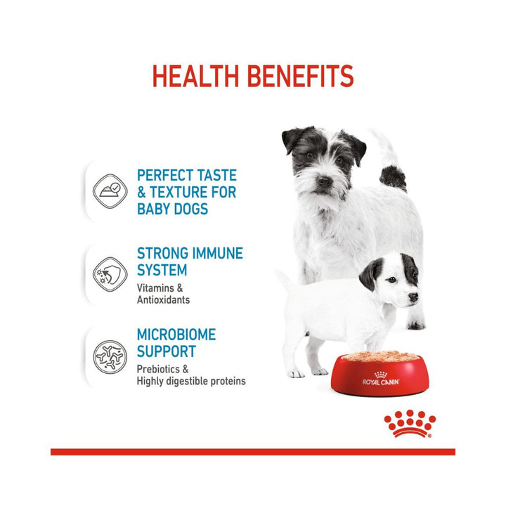 Royal Canin Starter Mousse Mother & Babydog is specially formulated to support the nutritional needs of pregnant or lactating mothers and puppies up to 2 months 3.