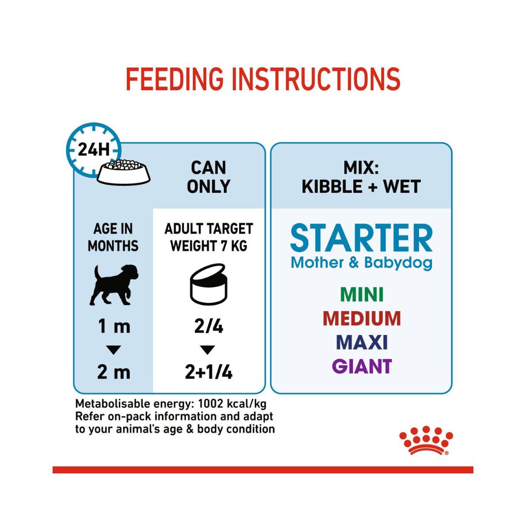 Royal Canin Starter Mousse Mother &amp; Babydog Food - Wet food for pregnant and lactating mothers and puppies- Feeding instructions 