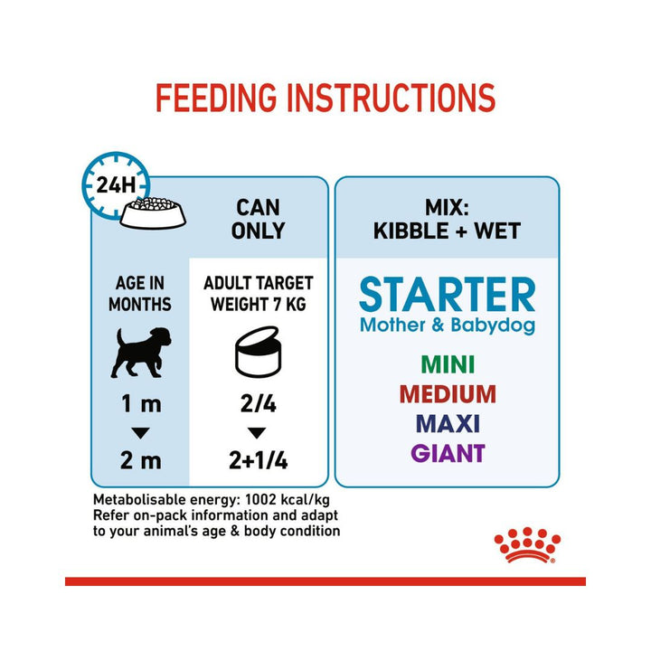 Royal Canin Starter Mousse Mother &amp; Babydog Food - Wet food for pregnant and lactating mothers and puppies- Feeding instructions 
