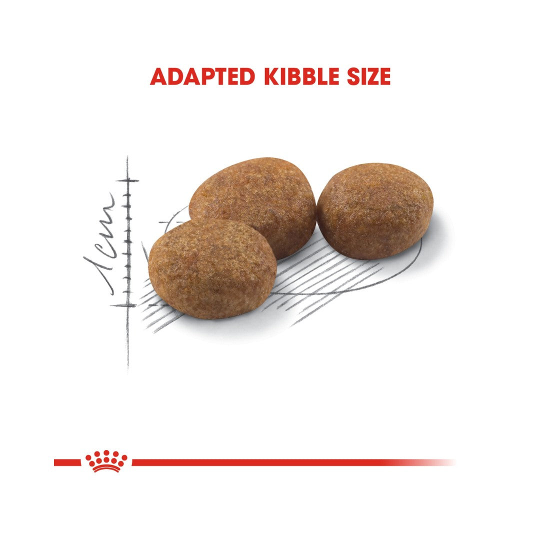 Royal Canin Sterilised 37 Dry Cat Food -  Kibble Size 