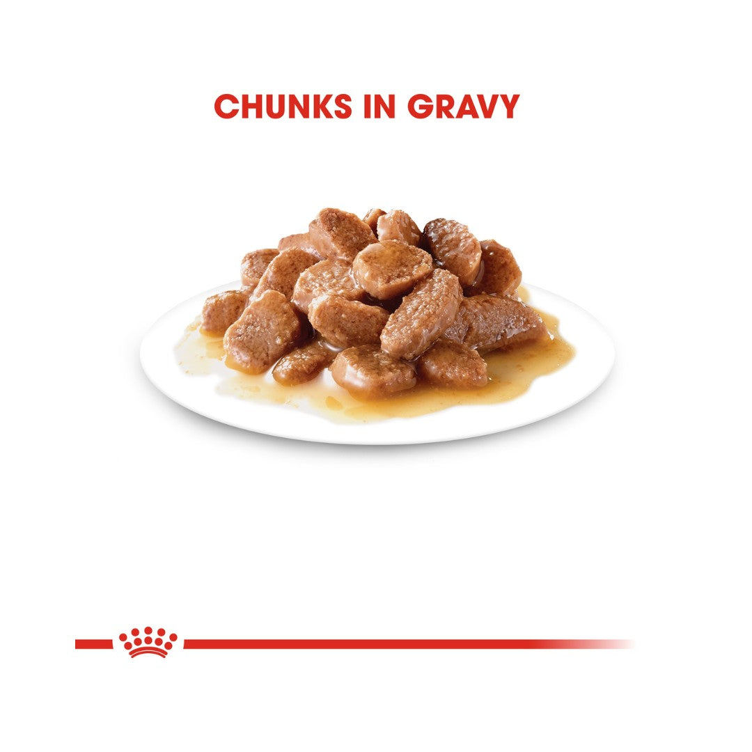 Royal Canin Sterilised in Gravy Wet Cat Food Complete feed for cats - Especially for neutered adult cats (thin slices in gravy) 2.