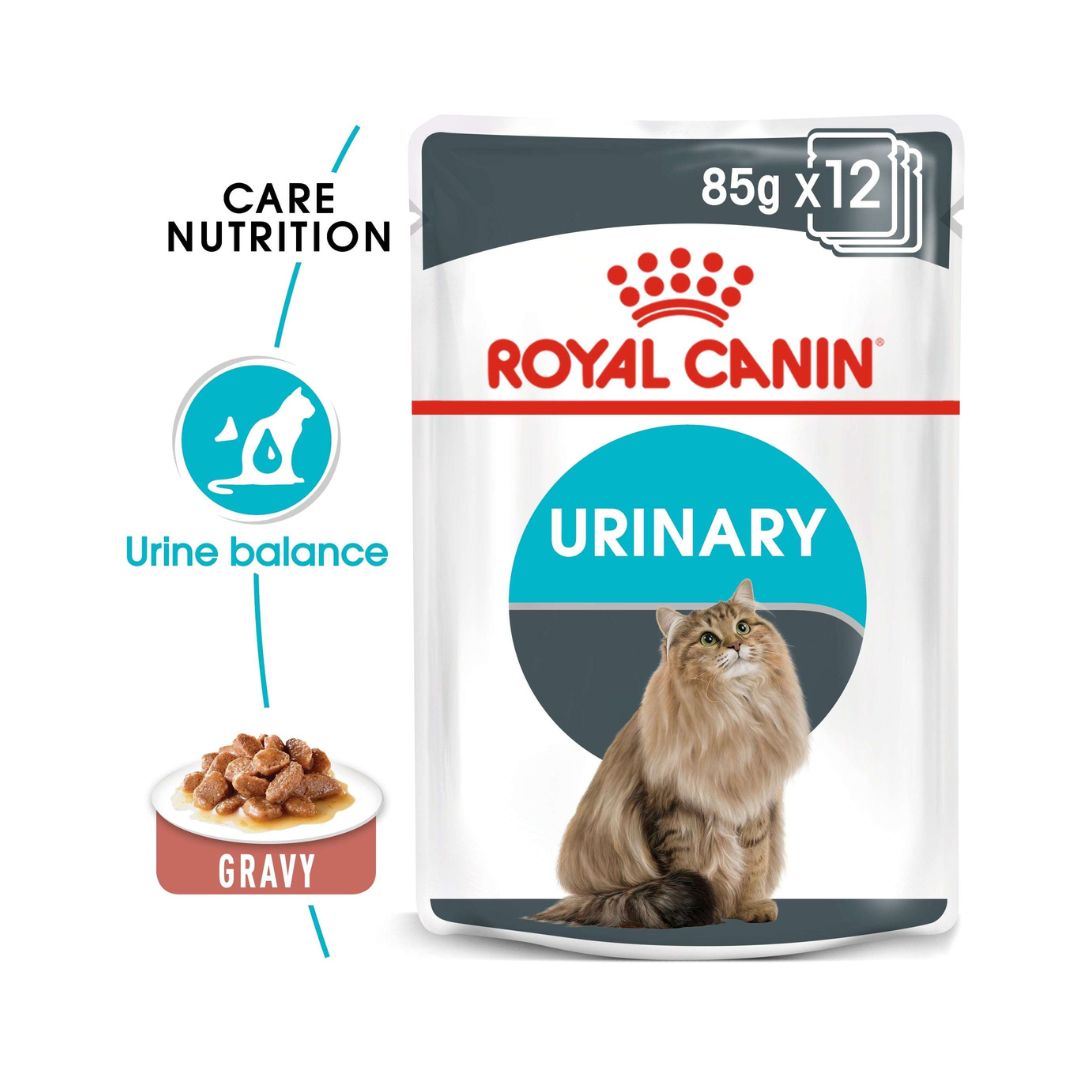 Royal Canin Urinary Care in Gravy Wet Cat Food Benefits 