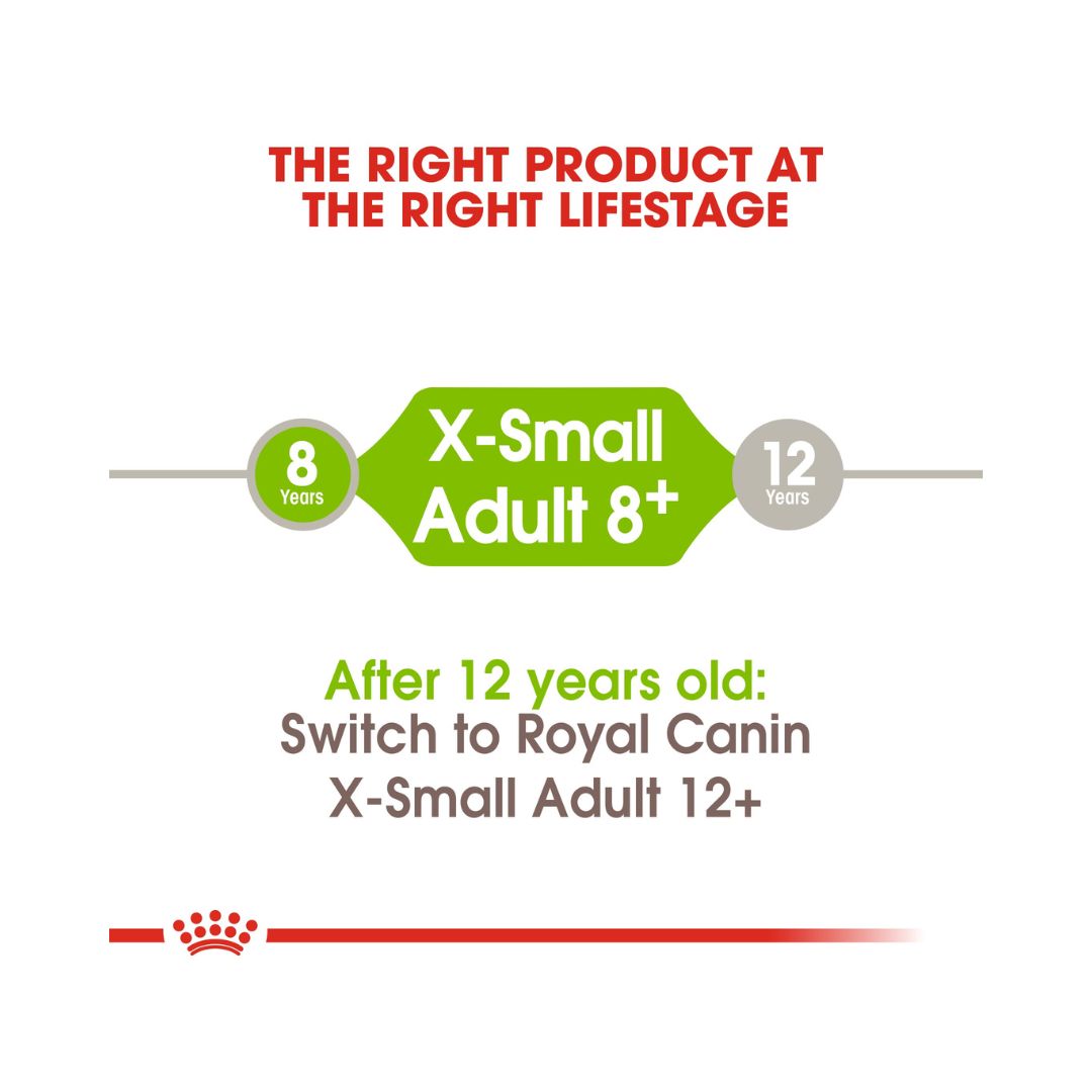 Royal Canin X-Small Adult 8+ Dog Dry Food - Size and Age 