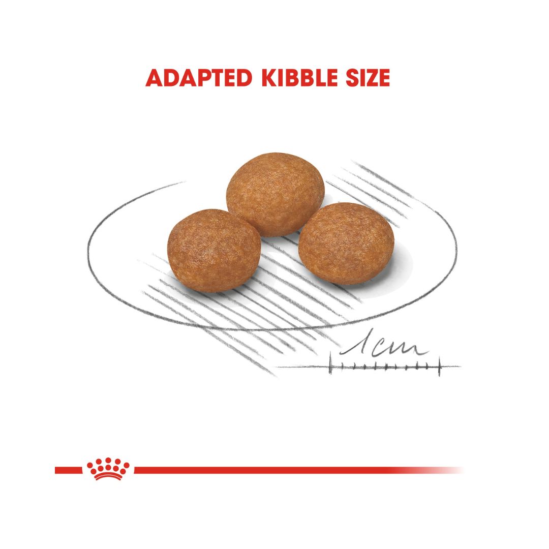 Royal Canin X-Small Adult 8+ Dog Dry Food - kibble Size 