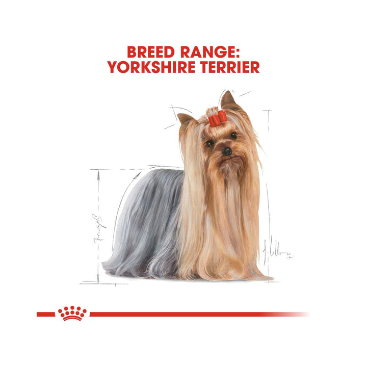 Royal Canin Yorkshire Adult Dog Dry Food Complete feed for dogs, Specially for adult and mature Yorkshire Terriers over 10 months old 2.