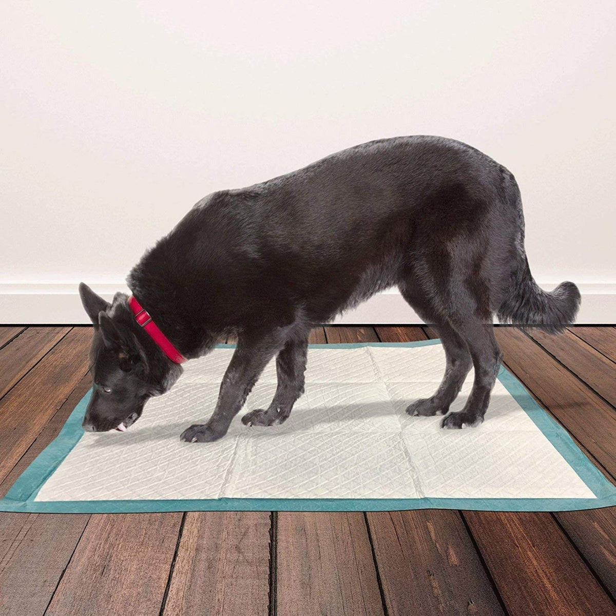 Simple Solution Premium Dog and Puppy Training Pads, XL Pack of 10 Petz.ae 1