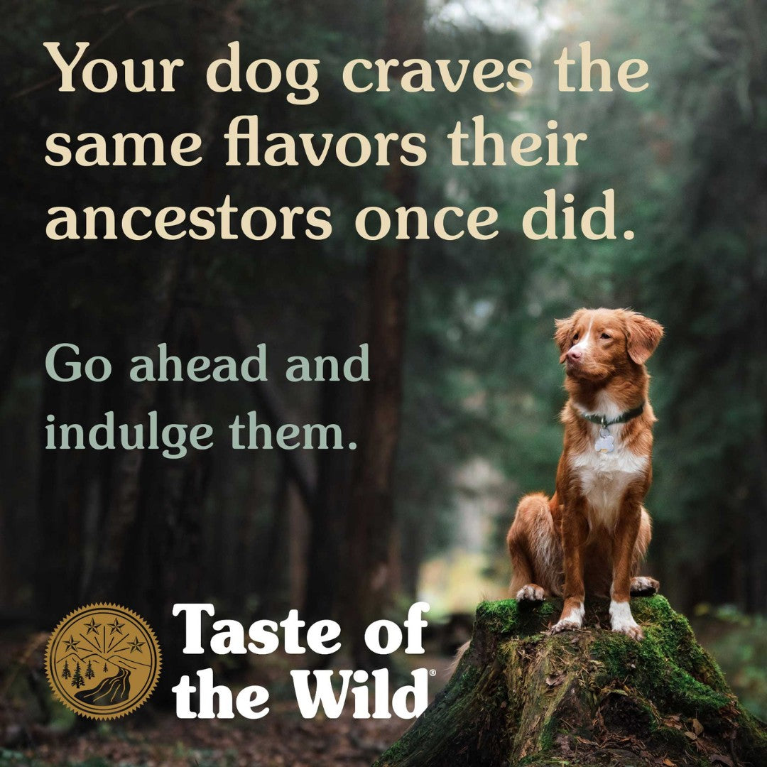 Taste of the Wild Ancient Prairie with Roasted Bison & Venison Dog Dry Food - product image 5