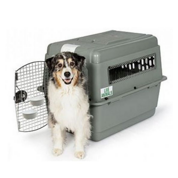 Large airline online approved dog crate