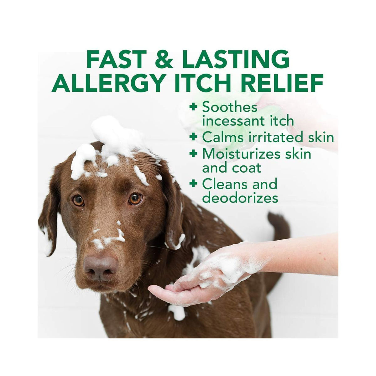 Vet's Best Allergy Itch Relief Dog Shampoo - product image 2