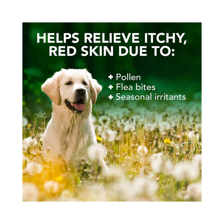 Vet's Best Allergy Itch Relief Dog Shampoo 16oz Petz.ae 3