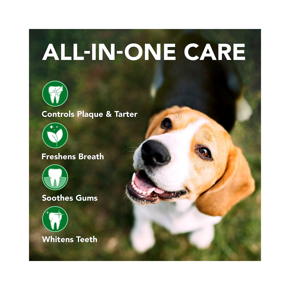 Vet's Best Complete Enzymatic Dental Care Kit for Dogs - product image 4