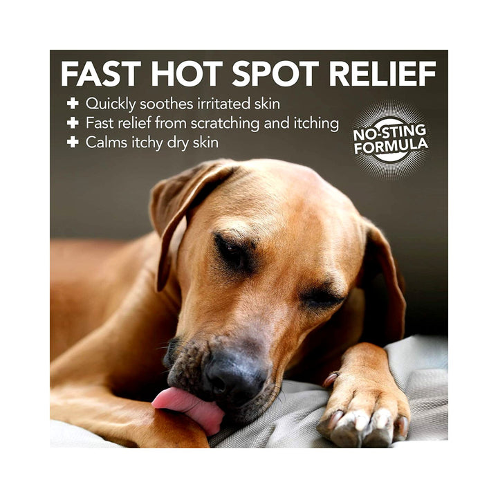 Vet's Best Hot Spot Foam for Dogs 4oz Petz.ae Ad