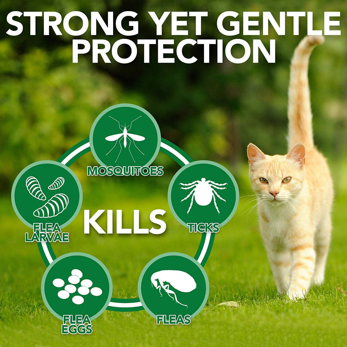 Vet's Best Flea and Tick Home Spray for Cats - product image 3