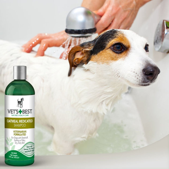 Vet’s Best Oatmeal Medicated Dog Shampoo 16oz Petz.ae AD