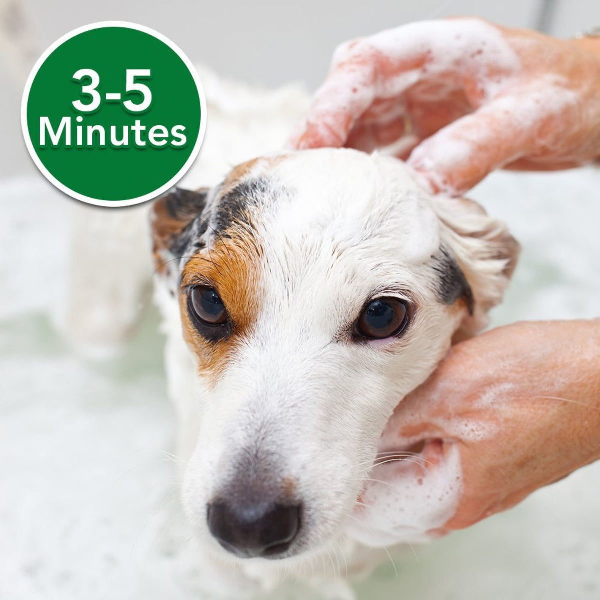 Vet's Best Oatmeal Medicated Dog Shampoo - product image 4