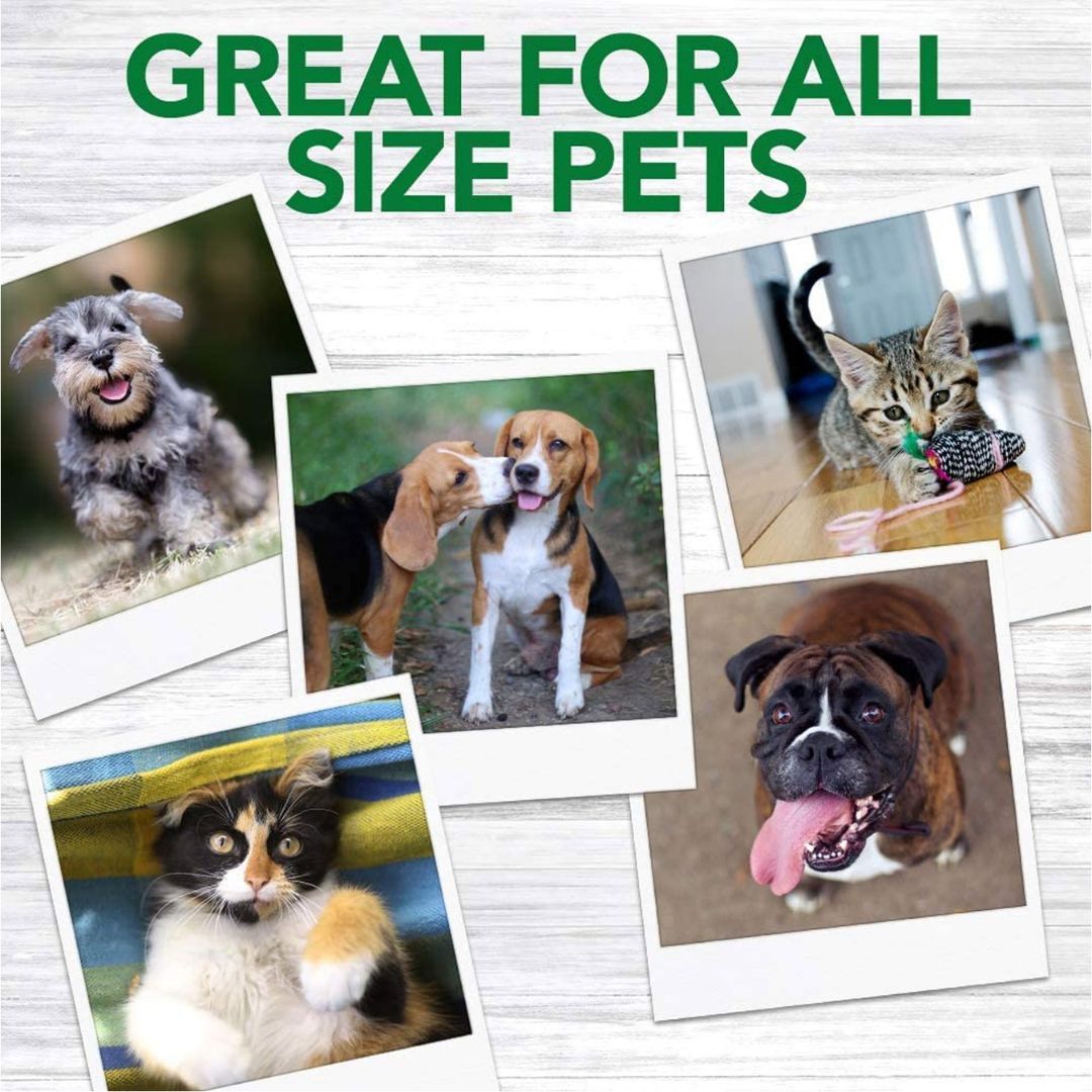 Vet's Best Advanced Dental Powder for Dogs - product image 4