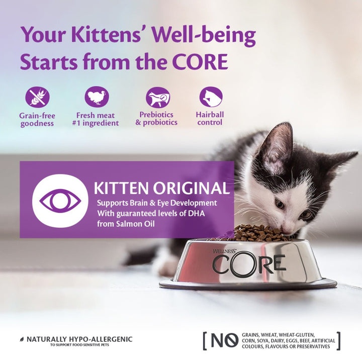 Wellness Core Turkey with Chicken Kitten Dry Food's natural food recipe is packed with animal protein, like fresh turkey or salmon, without fillers or grains 3.