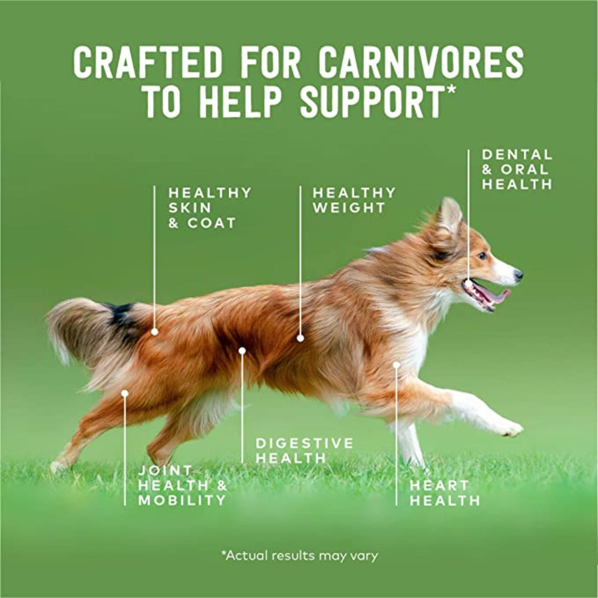 ZIWI® Peak Air-Dried Lamb Recipe for Dogs Peak Nutrition For All Life Stages Pure and straightforward, ZIWI® Peak Lamb is a single protein food perfectly crafted for dogs of all breeds and life stages, especially those with food sensitivities 5.