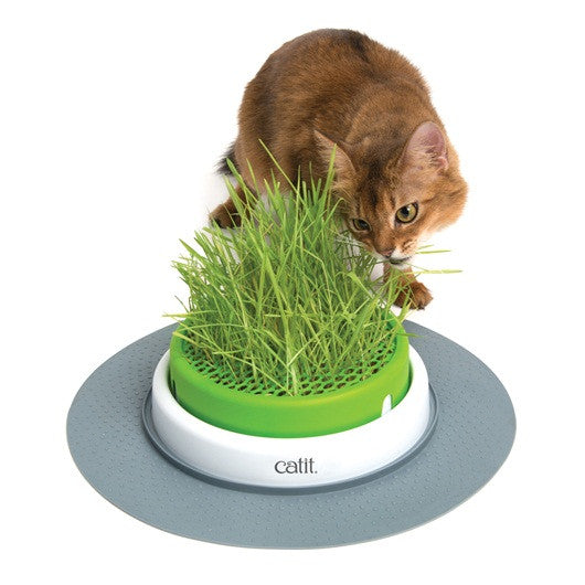Catit Senses 2.0 Cat Grass Planter - product view 3
