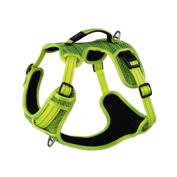 A green and black Rogz Explore dog harness with adjustable straps and a padded chest plate.