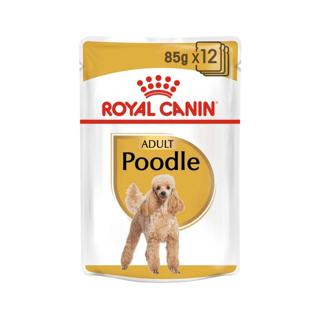 Royal Canin Breed Health Nutrition Poodle Adult Wet Dog Food 12 x 85 g