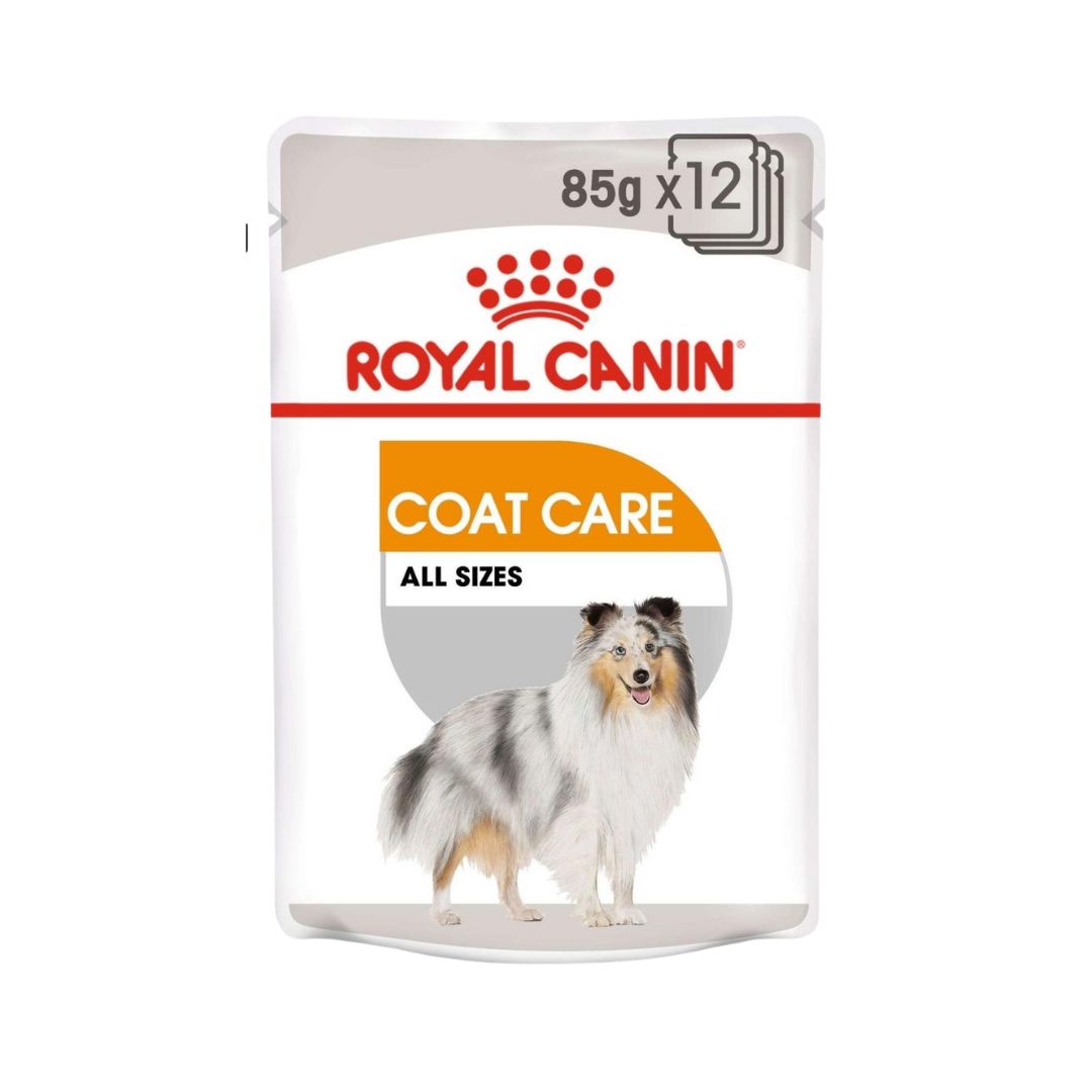ROYAL CANIN® Canine Care Nutrition Coat Care Loaf Wet Dog Food Pouches 12 x 85 g