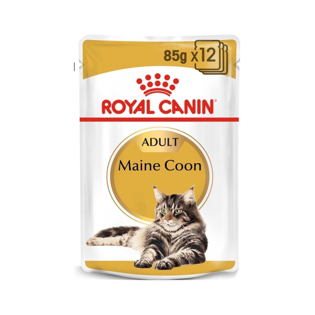 Royal Canin Feline Breed Nutrition Maine Coon Adult in Gravy Wet Cat Food Pouches 12 x 85 g