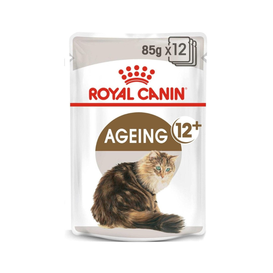 Royal Canin Feline Health Nutrition Ageing 12+ in Jelly Wet Cat Food Pouches 12 x 85 g